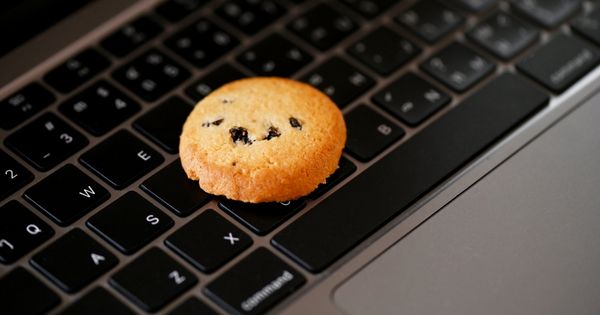 How Cookies Impact Job Search And How to Protect Yourself